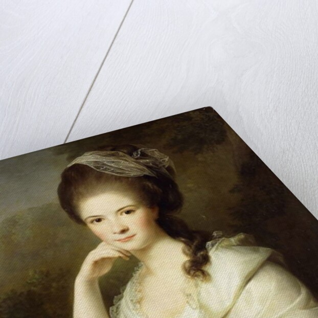 Portrait of a Lady, seated half-length, wearing a Brown Dress and a White Shawl, 1778 by Jens Juel