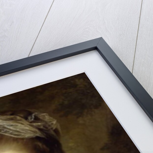 Portrait of a Lady, seated half-length, wearing a Brown Dress and a White Shawl, 1778 by Jens Juel