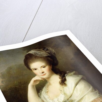 Portrait of a Lady, seated half-length, wearing a Brown Dress and a White Shawl, 1778 by Jens Juel