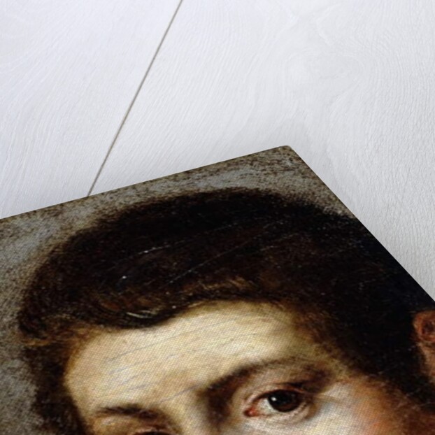 Head of a Boy by Northern Italian School