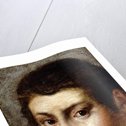 Head of a Boy by Northern Italian School