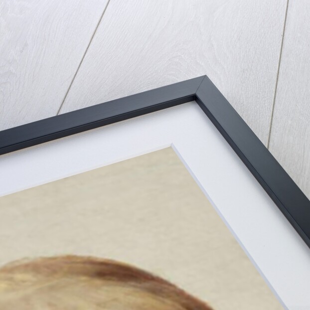 Portrait study of Francesco, Crown Prince of Naples, as a boy, head and shoulders, by Angelica Kauffman