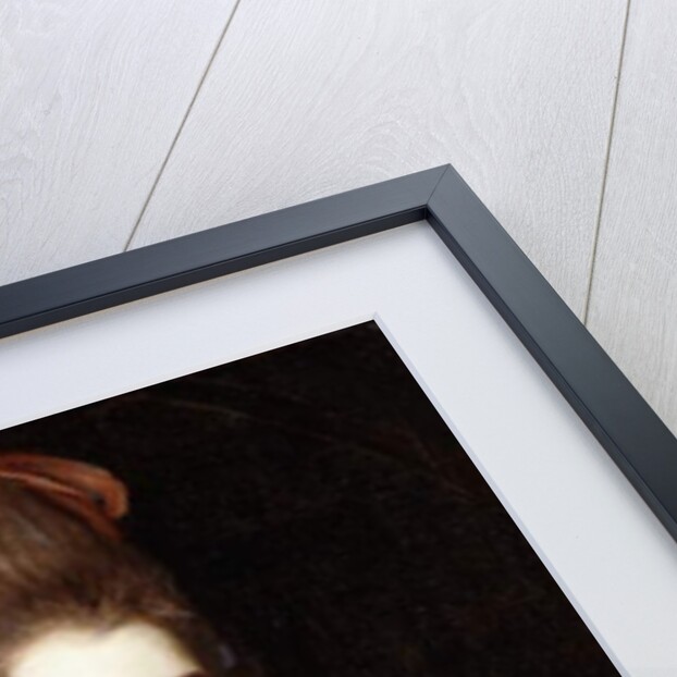 Portrait of a Lady, said to be Mrs, by Joshua Reynolds