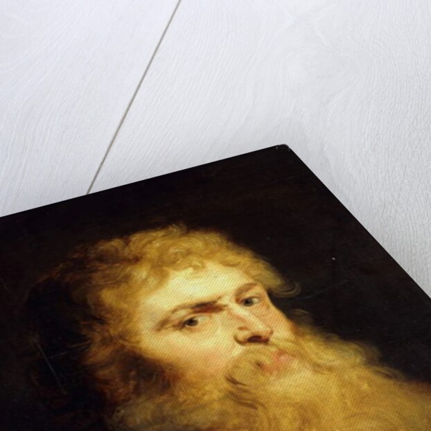 Head of a Bearded Man by Peter Paul Rubens
