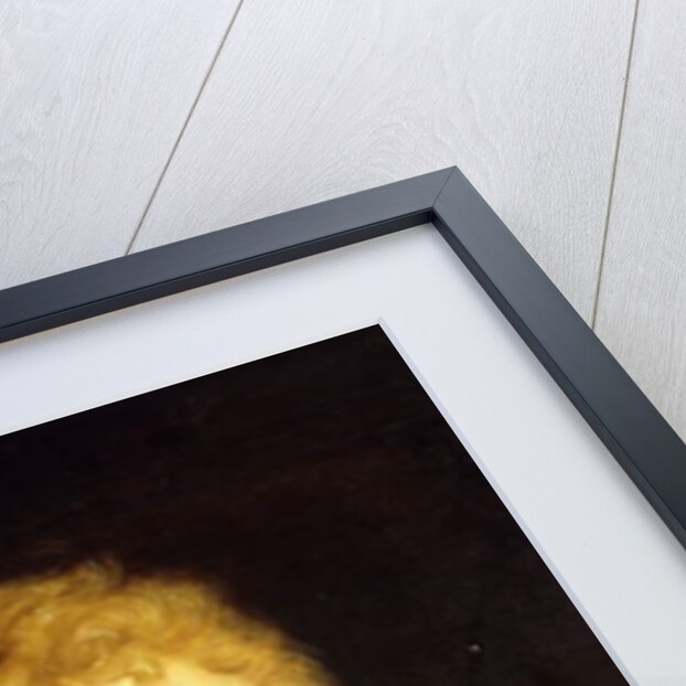 Head of a Bearded Man by Peter Paul Rubens