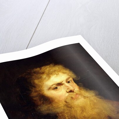 Head of a Bearded Man by Peter Paul Rubens