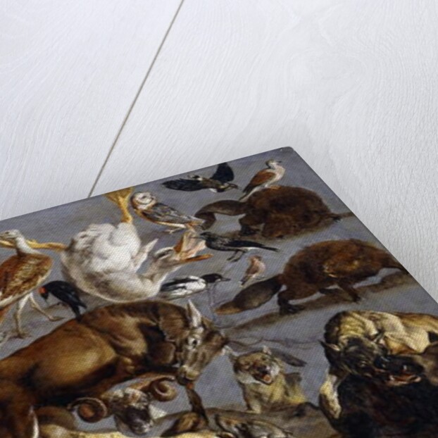 Studies of a Red Deer, an Ibex, a Wild Boar, three Wolves, two Beavers, two Hares by Carl Borromaus Andreas Ruthart