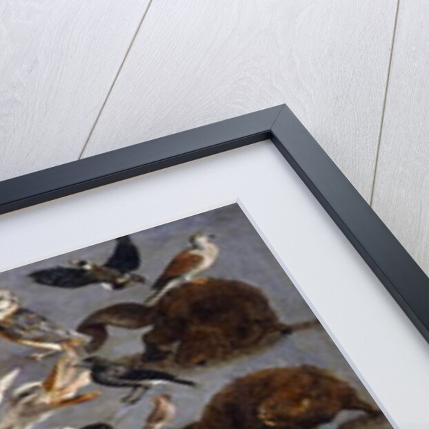 Studies of a Red Deer, an Ibex, a Wild Boar, three Wolves, two Beavers, two Hares by Carl Borromaus Andreas Ruthart