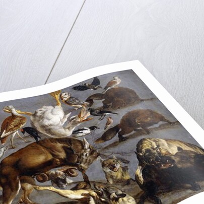 Studies of a Red Deer, an Ibex, a Wild Boar, three Wolves, two Beavers, two Hares by Carl Borromaus Andreas Ruthart