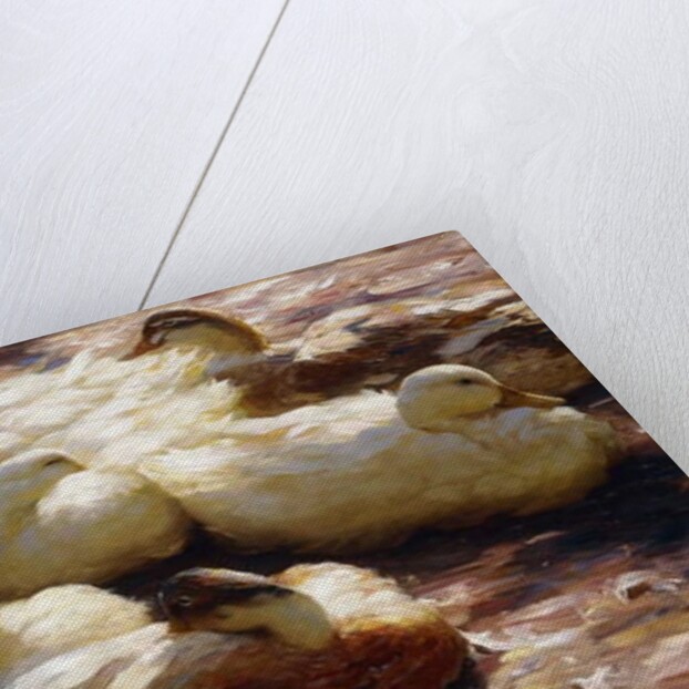 Ducks on a Riverbank, by Alexander Koester