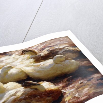 Ducks on a Riverbank, by Alexander Koester