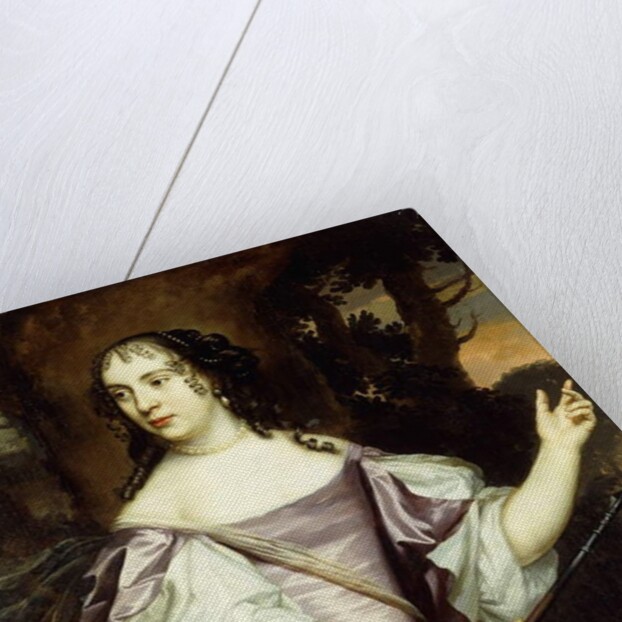 Portrait of a Lady by Jan Mytens