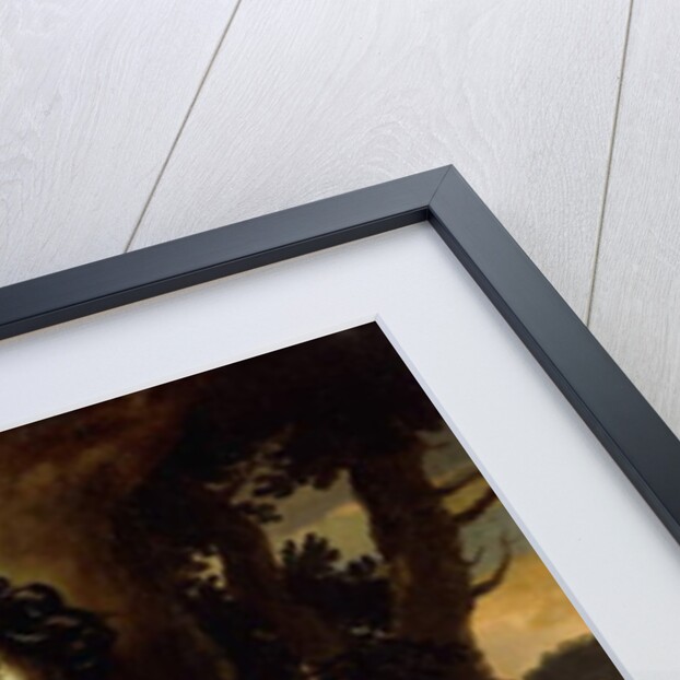 Portrait of a Lady by Jan Mytens