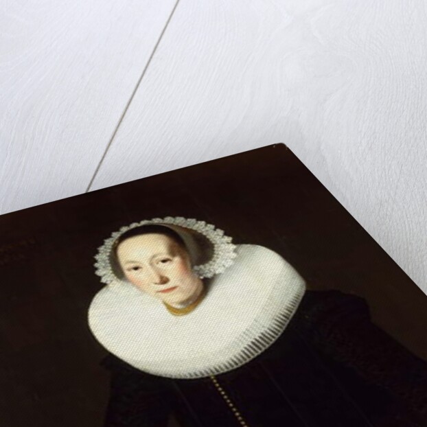 Portrait of a Lady by Nicolaes Eliasz