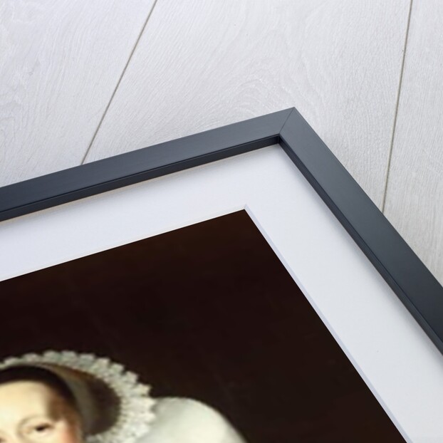 Portrait of a Lady by Nicolaes Eliasz