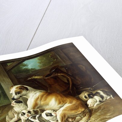 A Mother with her Puppies, 1734 by Christophe Huet