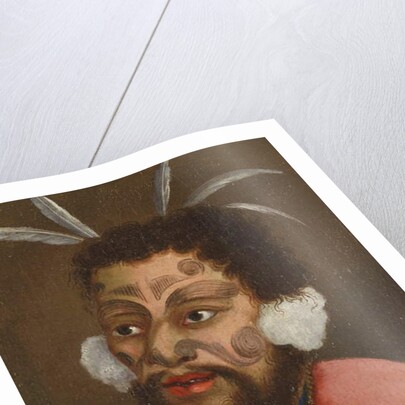 Man of New Zealand by French School