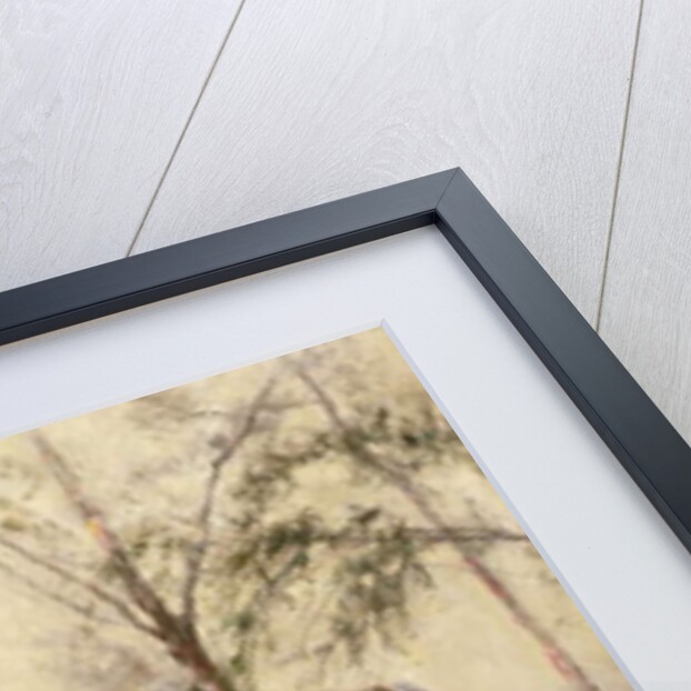 The Maiden's Isle, Zanzibar by Maurice Randall