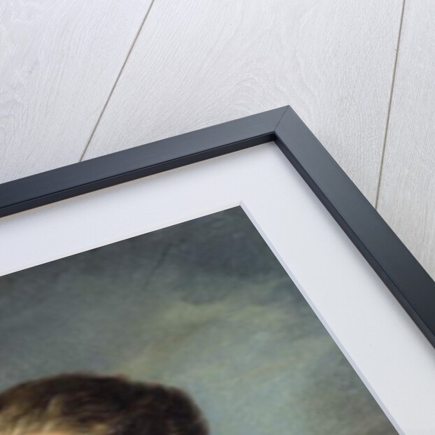 Dom Pedro I, Emperor of Brazil, c.1816 by Jean Baptiste Debret