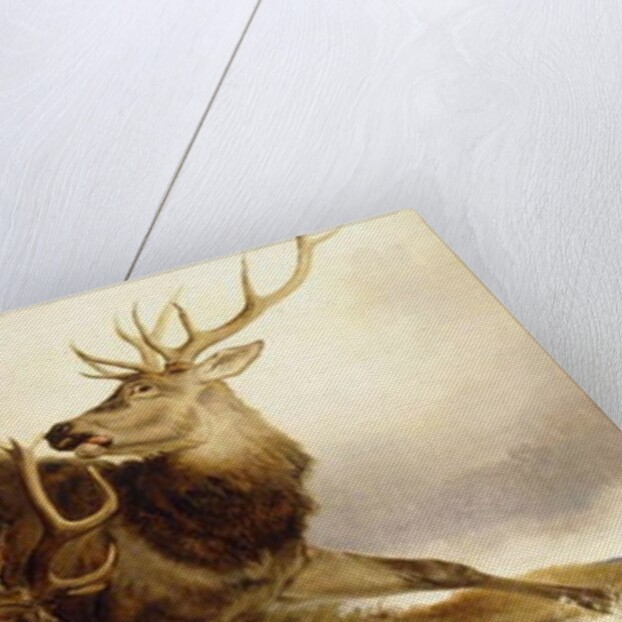 The Combat, 1847 by Richard Ansdell