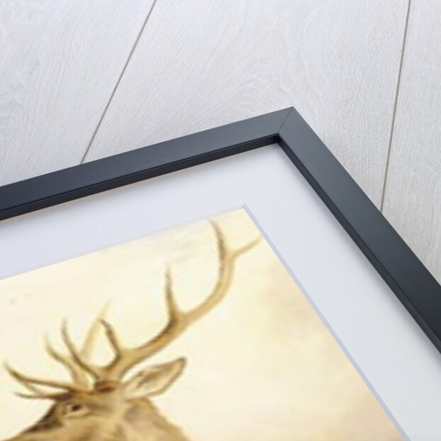 The Combat, 1847 by Richard Ansdell