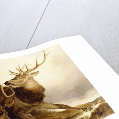 The Combat, 1847 by Richard Ansdell