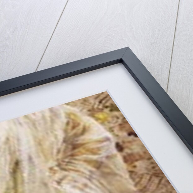 The End of the Story by Albert Joseph Moore