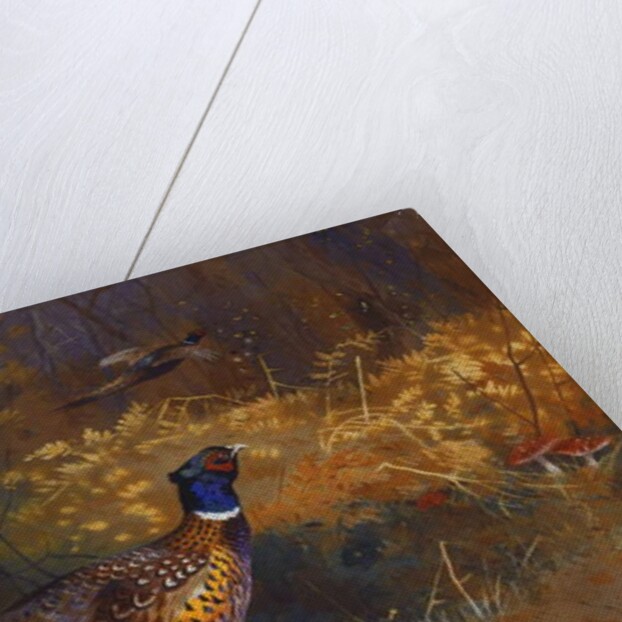 A Cock and Hen Pheasant at the Edge of a Wood, 1897 by Archibald Thorburn