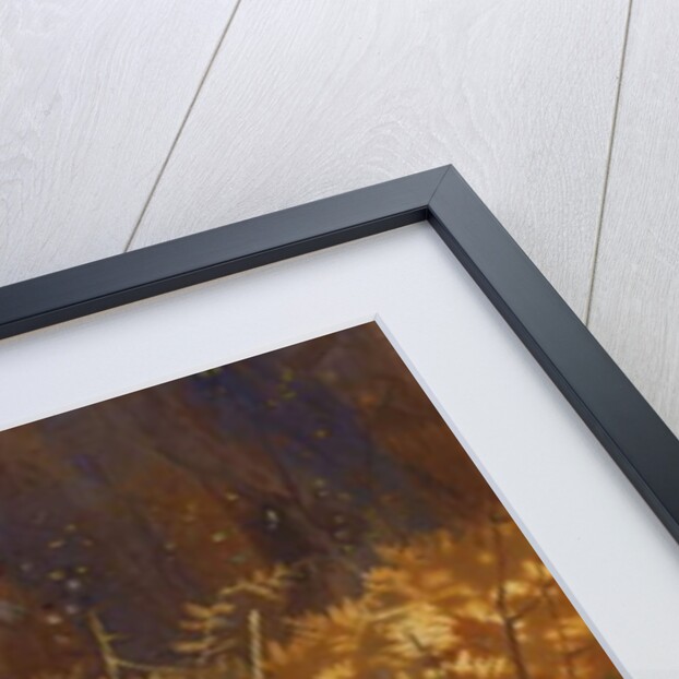 A Cock and Hen Pheasant at the Edge of a Wood, 1897 by Archibald Thorburn