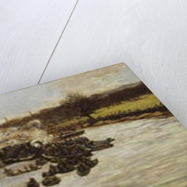 The Oxford and Cambridge Boat Race, 1879, 1880 by James Macbeth