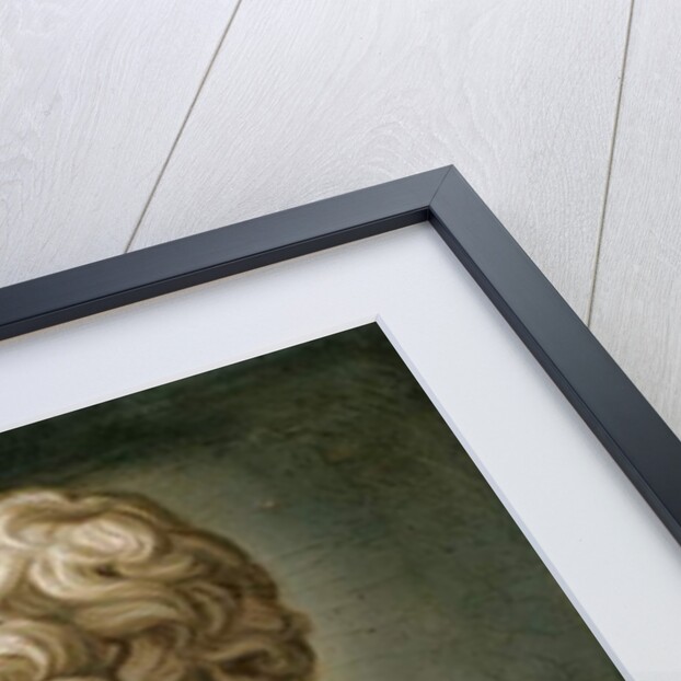 Bust of Caesar Augustus, c.1800 by School Italian