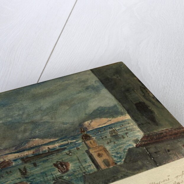 Hong Kong from Hotel de l'Univers: April in Asia, 1874 by German School