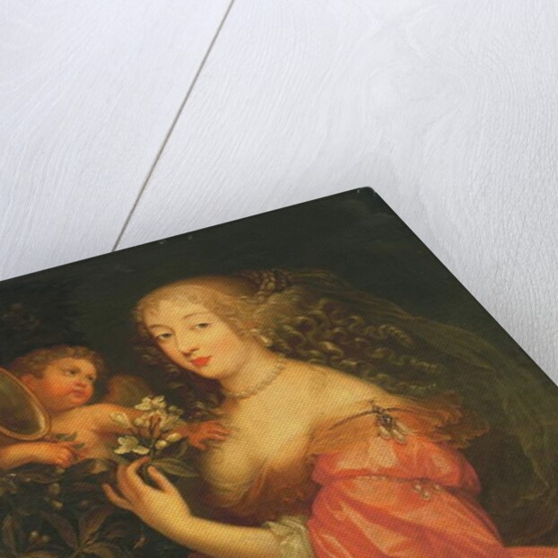 Portrait of Anne Marie Louise d'Orleans, Duchesse de Montpensier by Gilbert de Seve