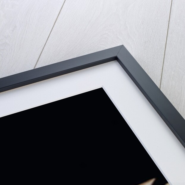 A Carved and Painted Spreadwing Eagle by John Haley Bellamy