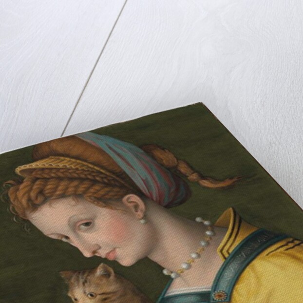 Portrait of a young lady holding a cat by Francesco Ubertini Verdi Bachiacca
