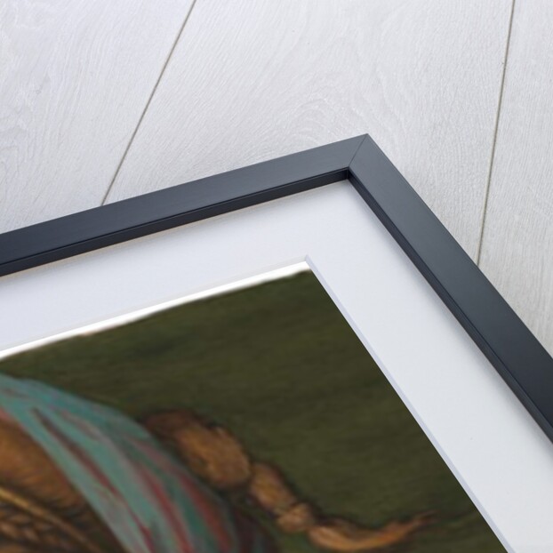 Portrait of a young lady holding a cat by Francesco Ubertini Verdi Bachiacca