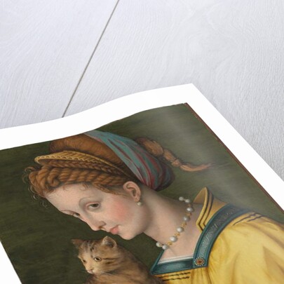 Portrait of a young lady holding a cat by Francesco Ubertini Verdi Bachiacca