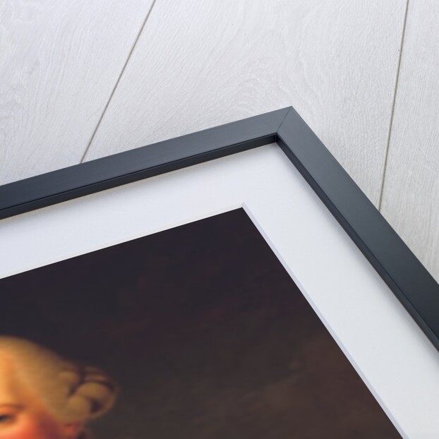 Portrait of Emperor Josef II by Joseph Hickel