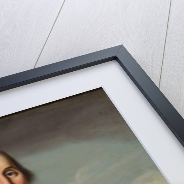 George Washington at Princeton by Charles Peale Polk