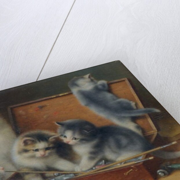 Mother Cat and her Kittens playing in a Paint Box by Wilhelm Schwar