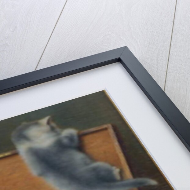 Mother Cat and her Kittens playing in a Paint Box by Wilhelm Schwar
