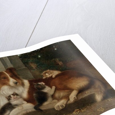 Best of Friends, 1906 by Wilhelm Schwar