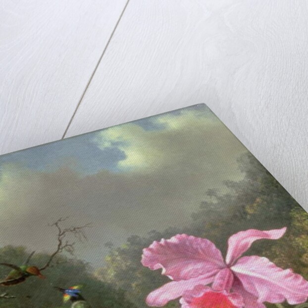 Still Life with an Orchid and a Pair of Hummingbirds, c.1890s by Martin Johnson Heade