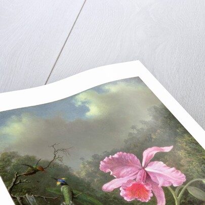 Still Life with an Orchid and a Pair of Hummingbirds, c.1890s by Martin Johnson Heade