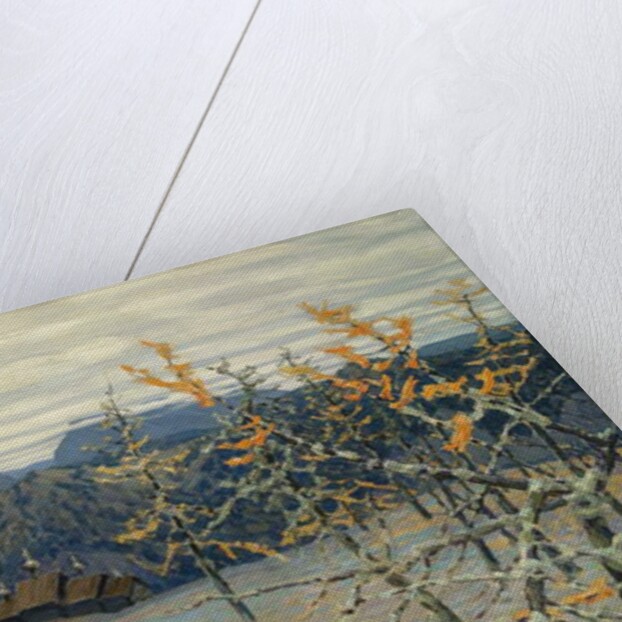 Village in the Ural Mountains, 1907 by Apollinari Mikhailovich Vasnetsov