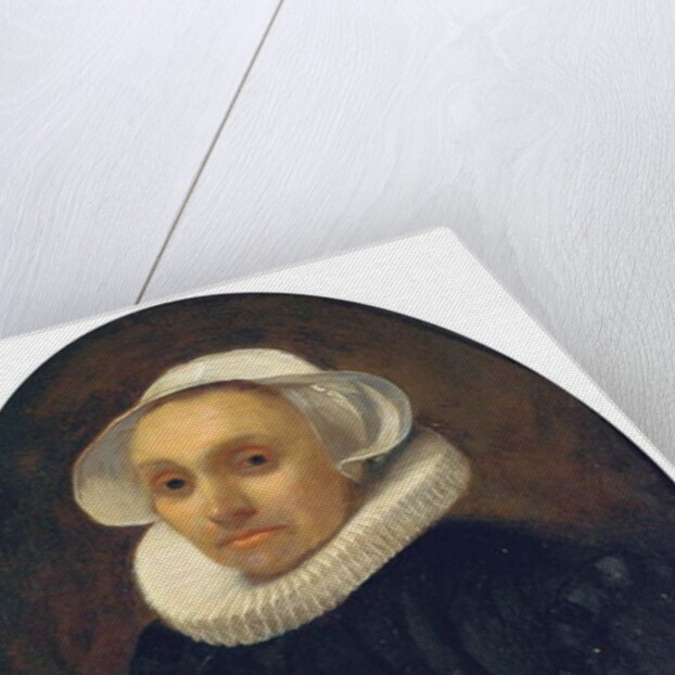 Portrait of a lady by Willem Drost