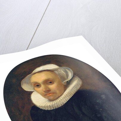 Portrait of a lady by Willem Drost