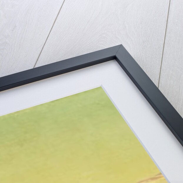 Jersey Meadows by Martin Johnson Heade