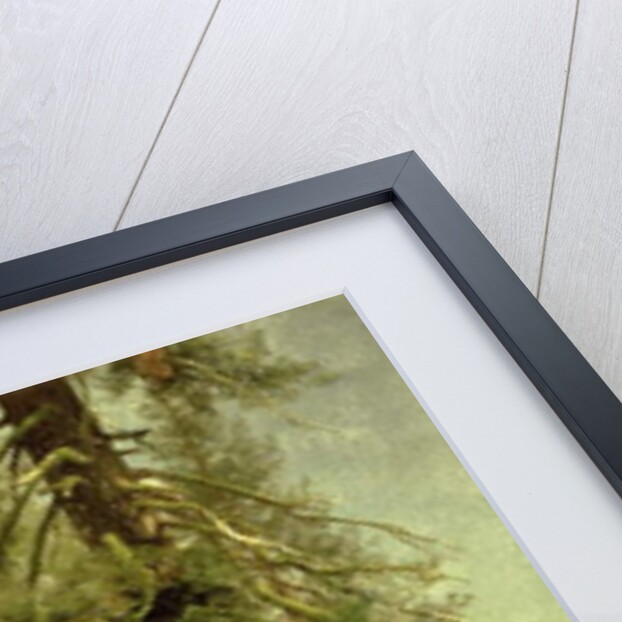 California Redwoods by Albert Bierstadt