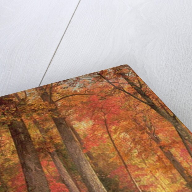 Path in the Forest, 1865 by William Trost Richards